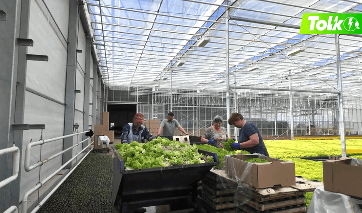 У "Галіція Грінері" переконані, що зелена енергетика — правильний вектор