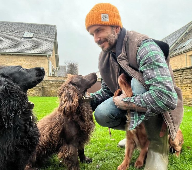 дэвид бекхэм, виктория бекхэм, загородный дом