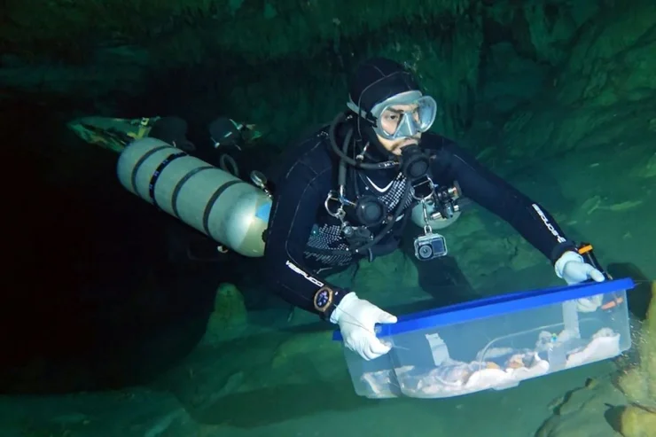 Останки знайшли в системі підземних річок