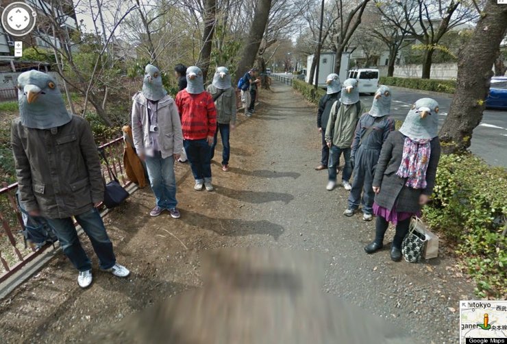 Жители Японии в костюме голубей
