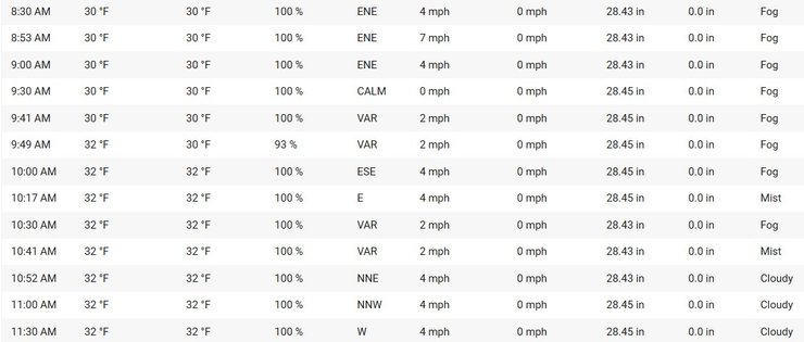 Аварія літака Embraer 190, Грозний, туман, погода, 25 грудня