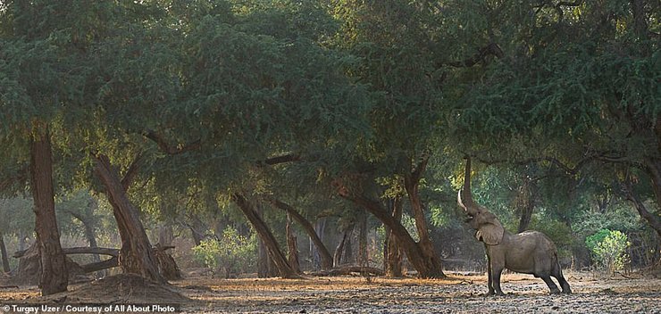 кращі фото дикої природи 2023, фотограф природи як називається, фотограф дикої природи вакансії, премія комедійної фотографії дикої природи, комедійні фотографії дикої природи, фотограф-натураліст, кращі фото дикої природи 2023, кращі фото природи, Красива природа картинки, Цікаві фотографії природи, Жива природа картинки, Скачать безкоштовно картинки природа та тварини, Скачати картинки природи на телефон, Скачати картинки природи на телефон, Скачать картинки Природа, Картинки природи на заставку, Картинки природи України