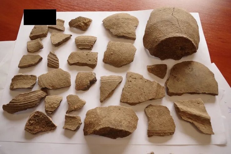 горшок, стол, фото