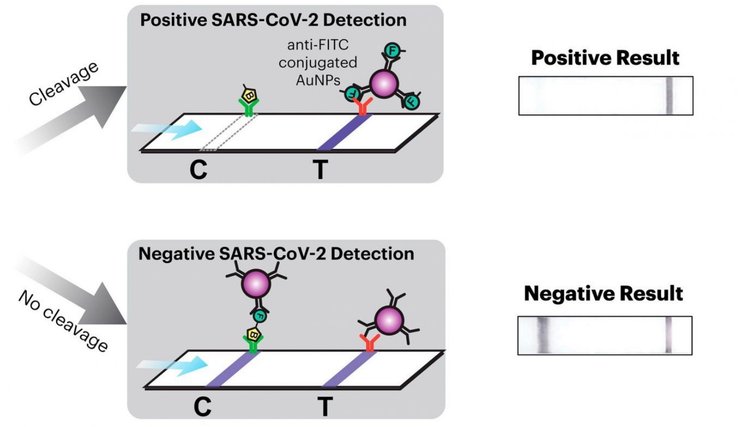 маска, коронавирус, результаты,