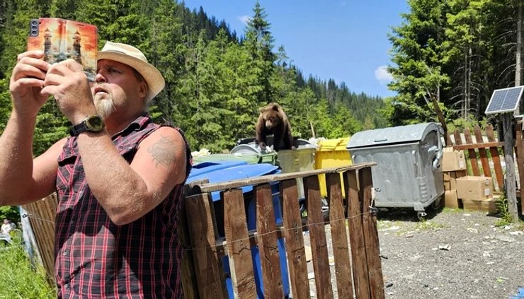 Трансфагараш румыния медведи