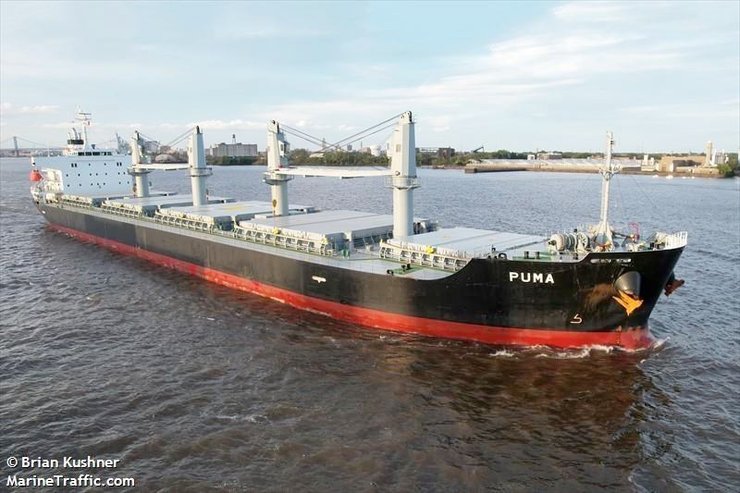 Балкер Puma, судно Puma, корабль Puma, балкер