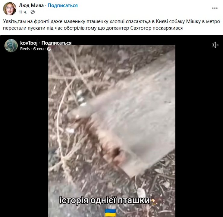 У соцмережах користувачі засуджують Святогора