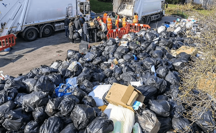 Студентка показала британский город, который заполонили стаи больших крыс, правительству пришлось привлекать военных