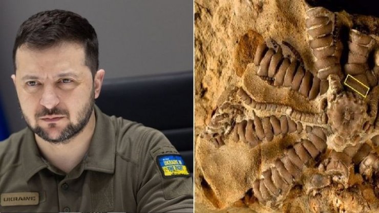 Лилия Зеленского