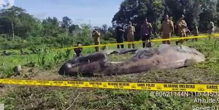 Обломки ракеты Чанчжэн-5В