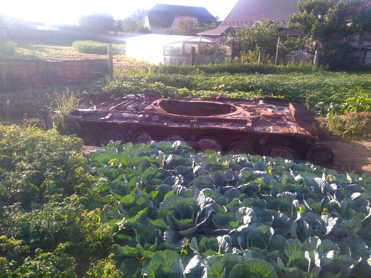 Российский танк, обсаженный капустой