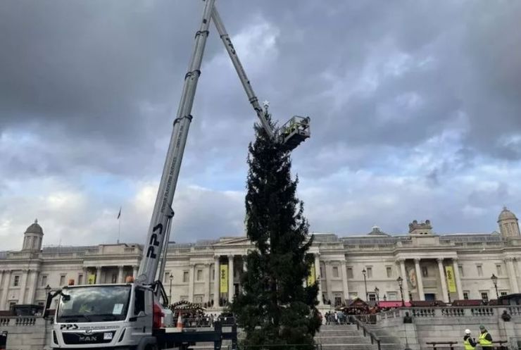 Новогодняя елка в Великобритании возмутила горожан, что говорят люди, рождественское дерево в Лондоне