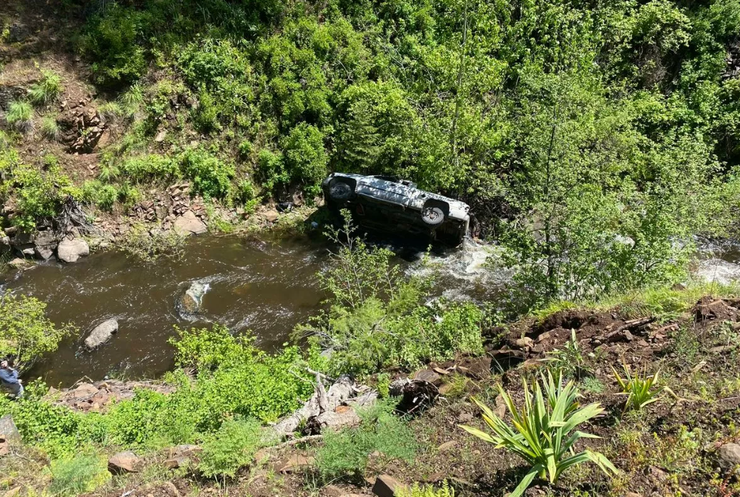 Второй Лесси, пес спас своего хозяина, который разбился в ДТП, курьезы, интересные истории, фото, США, спасение