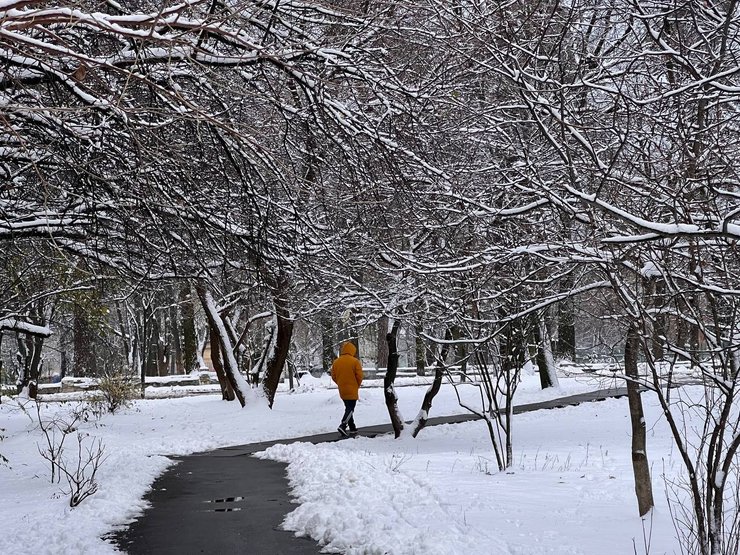 зима, україна, прогноз погоди