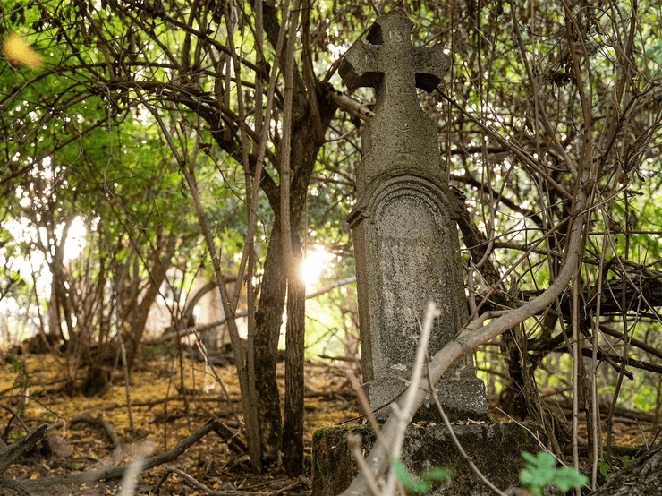 Покинутий цвинтар