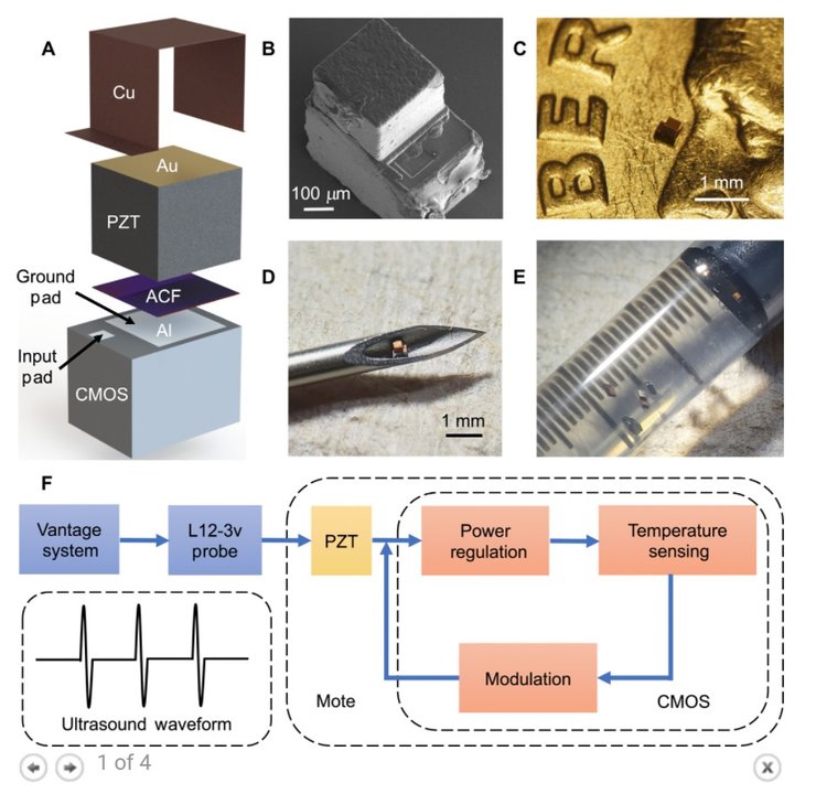 микрочип, чип