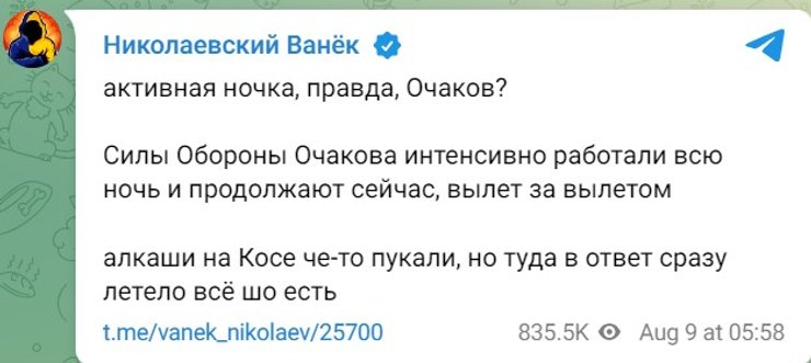 Бои на юге, Кинбурская коса, бой, стрельба, 9 августа