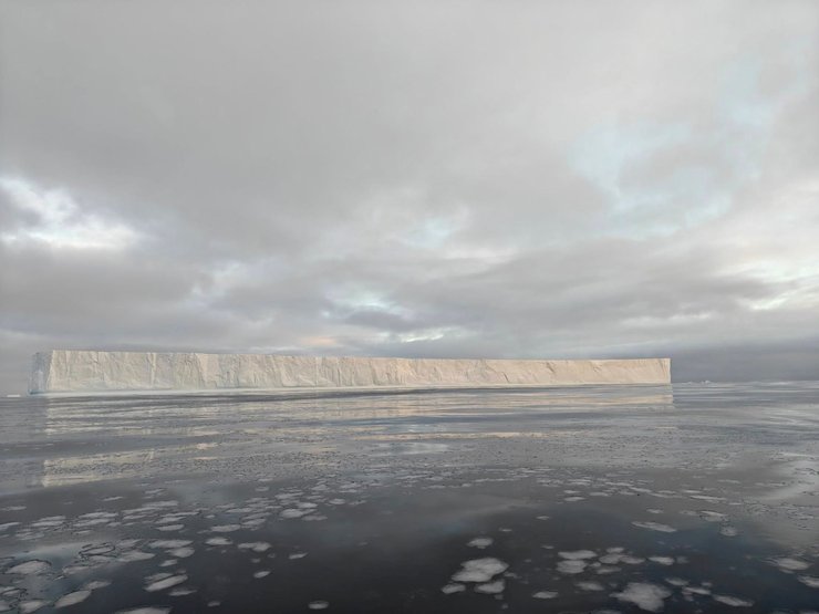 Столовий айсберг