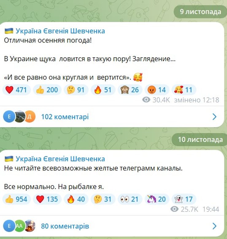 Скандал с Шевченко, Евгений Шевченко, арест, место пребывания, где Евгений Шевченко, где Евгений Шевченко