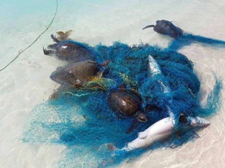 сети в океане