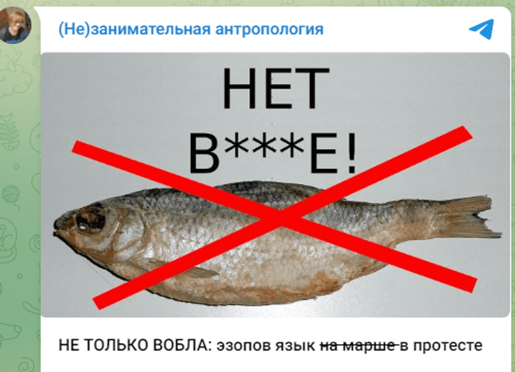 немає вобле