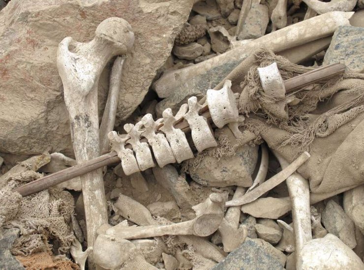 хребці, очеретяні стовпи, фото