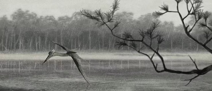 Птерозавр, Quetzalcoatlus lawsoni, Птерозавр Кетцалькоатль