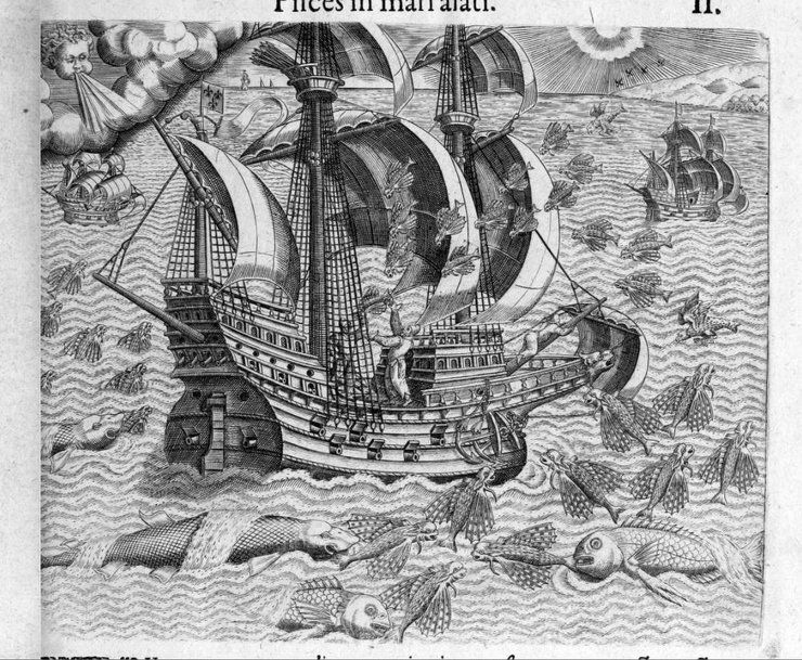 Экспедицию спас спасательный корабль