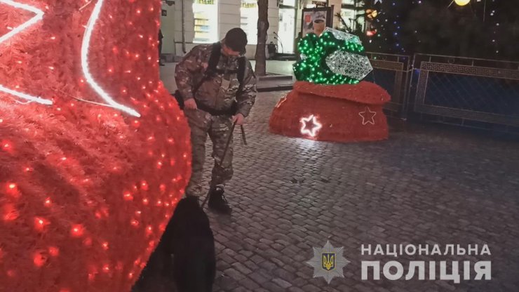 специалисты обыскали территорию