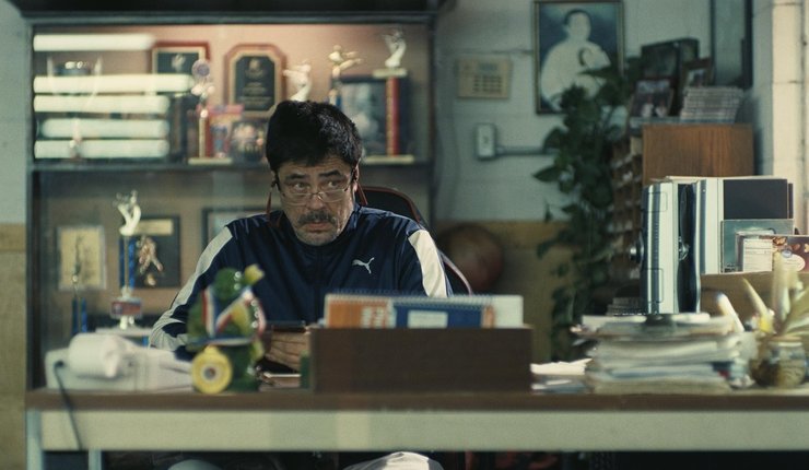 бенісіо дель торо