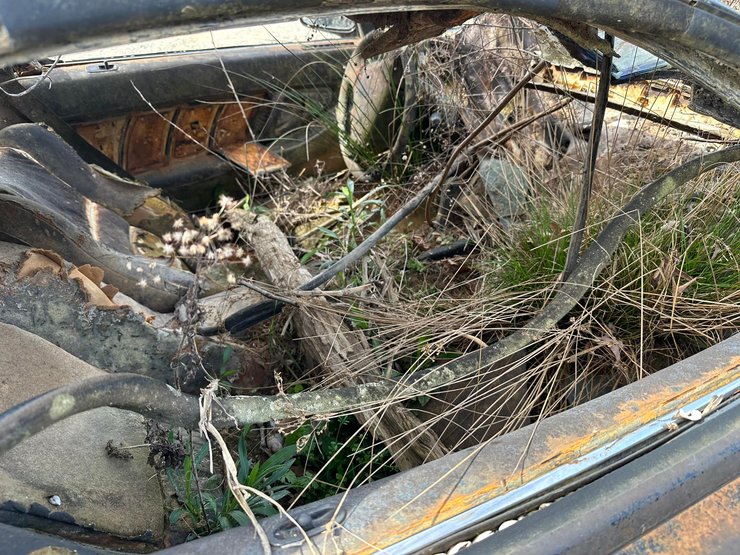 Acura NSX, Honda NSX, суперкар Honda, авто утопленник, японський суперкар