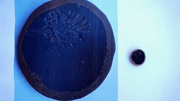 Прусиас-ад-Гипиум, раскопки, Турция, находка, театр, археологи, археология, город, культура, история, римляне, артефакты, античность