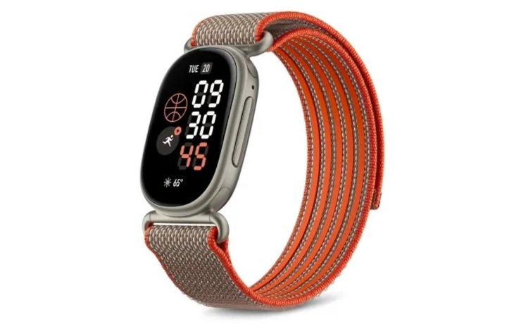 Google Fitbit Edge
