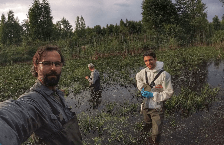 Чернобыльская АЭС, лягушки-мутанты, возвращение людей в зону отчуждения, животные в Чернобыле, зона отчуждения, черные лягушки,