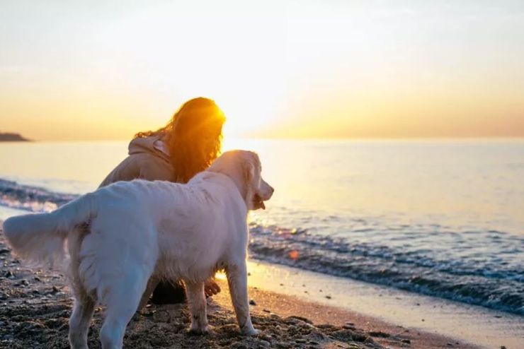 Ліза Кауфман із США, вчителька переселилась на безлюдний острів, стиль життя, цікаві історії з життя