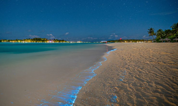 Море звезд на Мальдивах