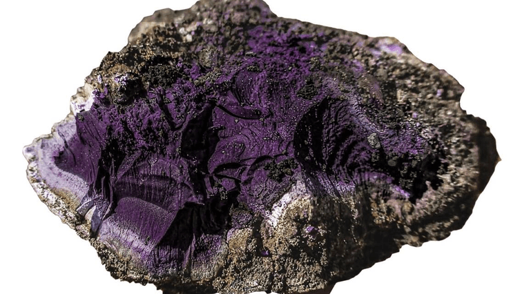 Археологи, знахідка, давньоримські руїни в Англії, пурпурний барвник, фіолетовий камінь, пігмент, крикетний клуб, дивовижна знахідка