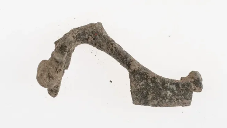 археологи нашли фибулу