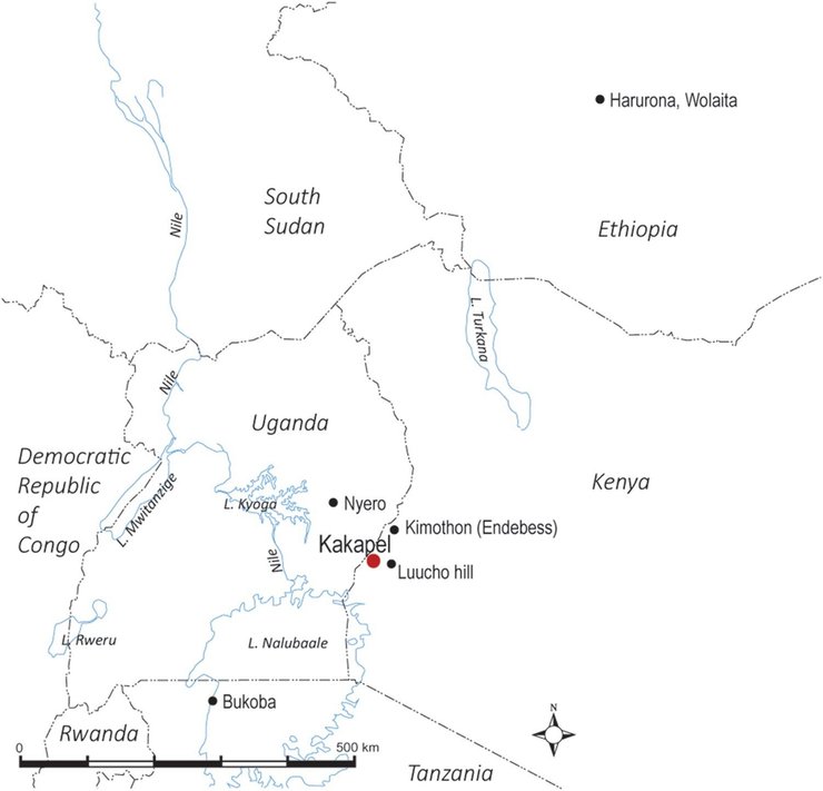 Вчені виявили кілька етапів розпису