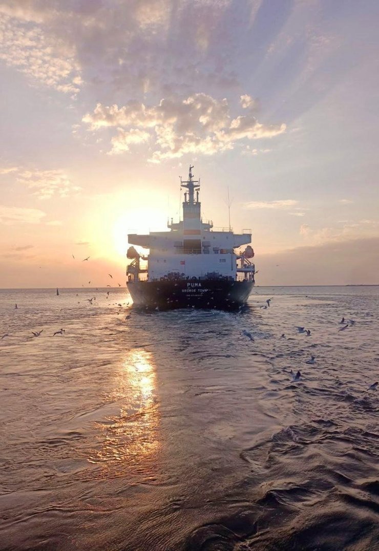 Балкер Puma, судно Puma, корабль Puma, балкер