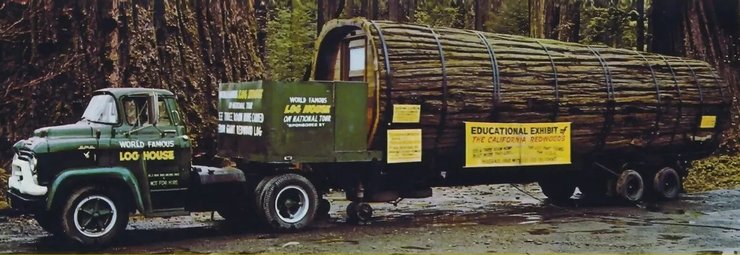 дом на колесах, автодом, винтажный автодом, купить автодом, дерево секвойя