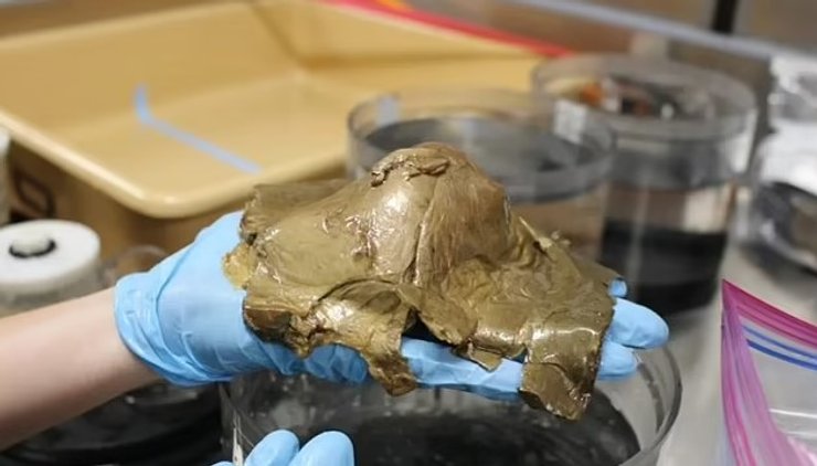 Золоте яйце було знайдено на дні океану