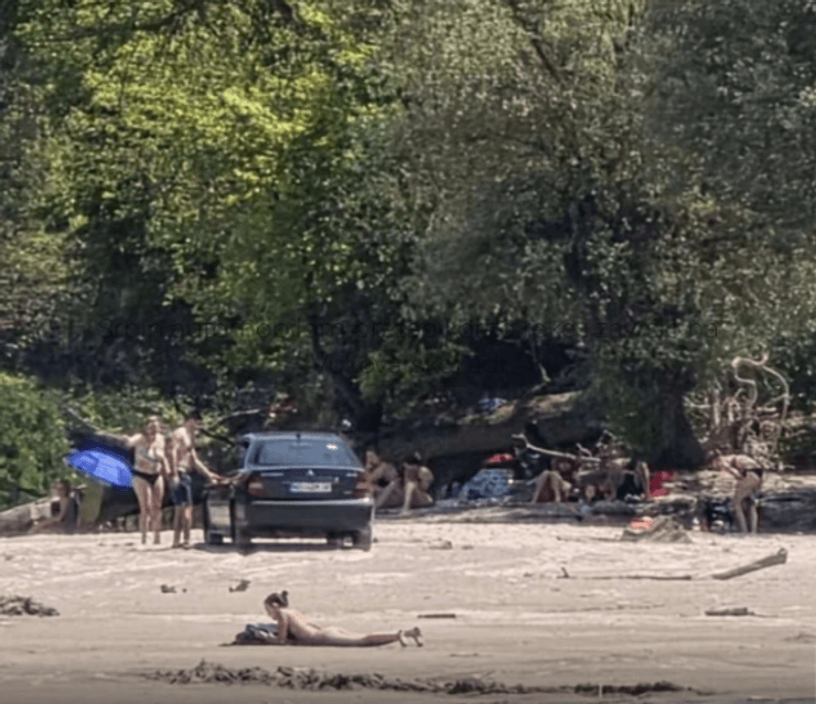 водитель авто с сербскими номерами