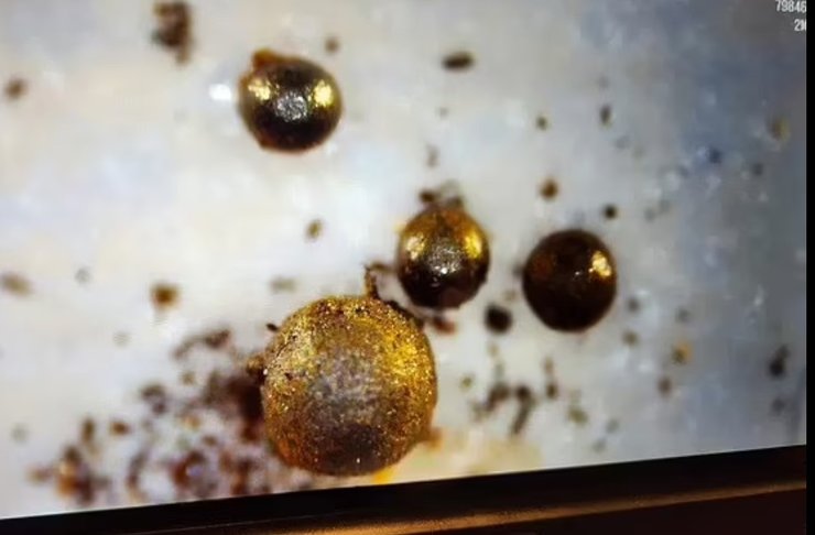 межзвездный объект Ави Леб