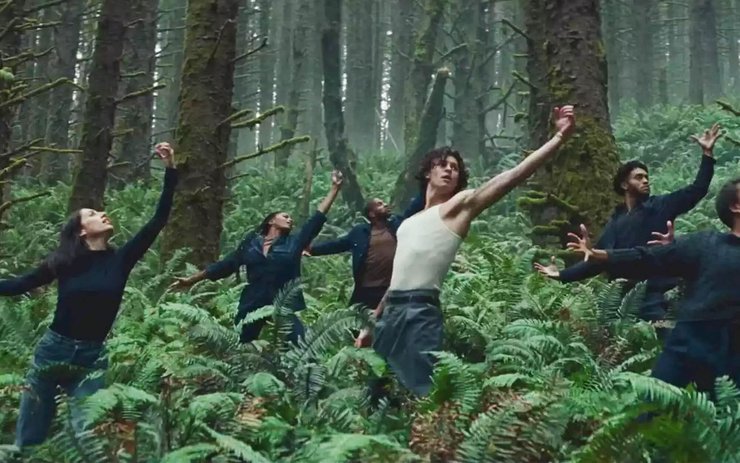 фото, клип Shawn Mendes Wonder