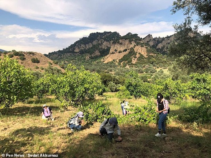 древнеримская арена