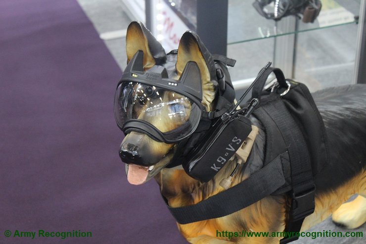 собака в защитном шлеме