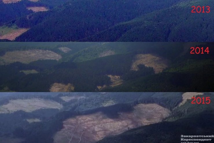лысые горы, Карпаты, незаконная вырубка, фото