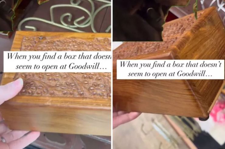 Интересные находки на секонд-хенде, урны, ящики, интересные вещи, приколы, курьезы, фото, невероятные истории из жизни