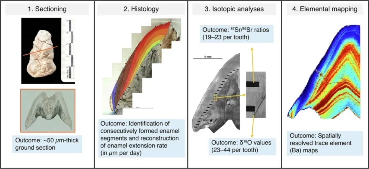 ученые провели исследование